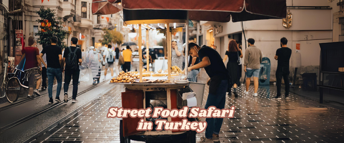 Turkish Street Food Safari in Turkey