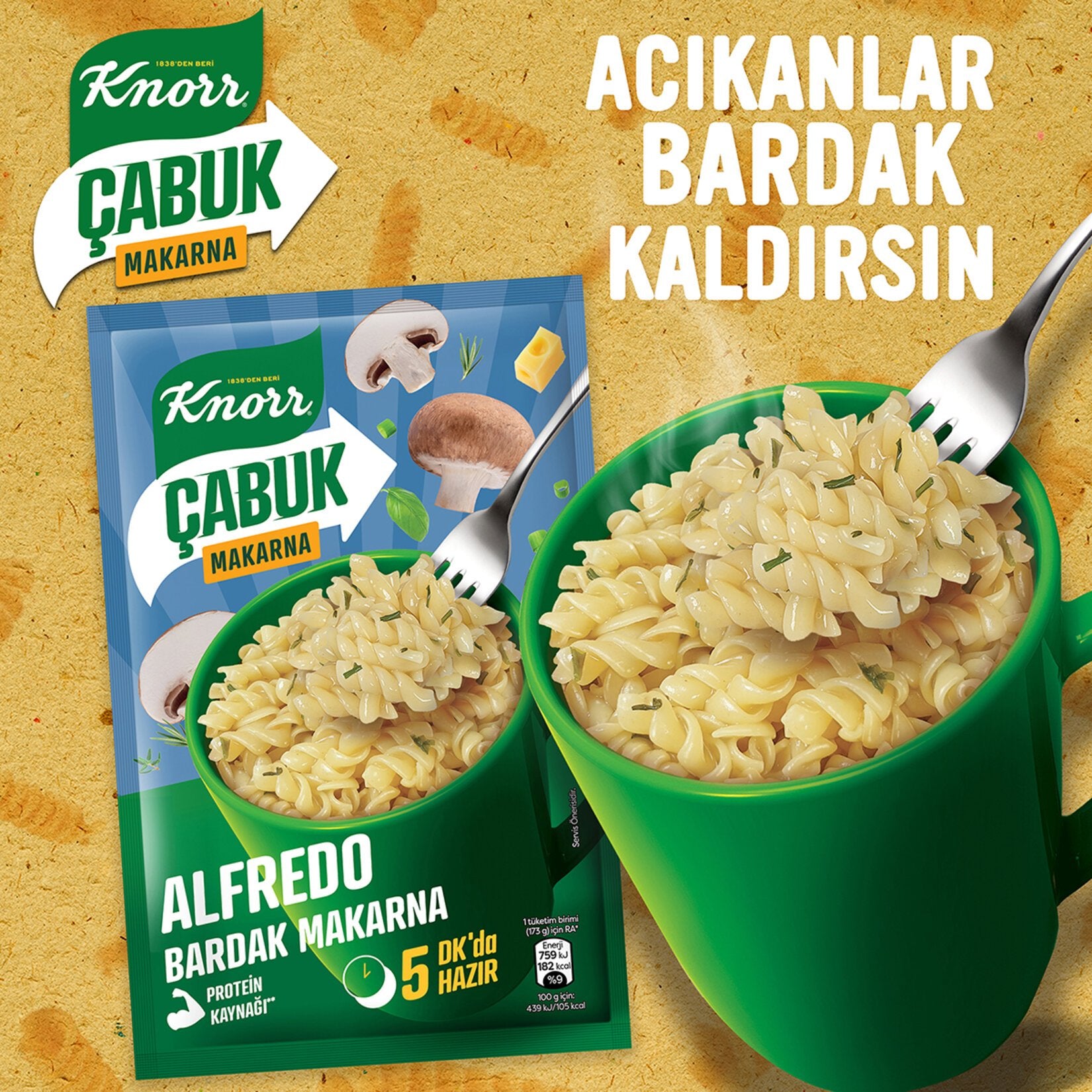 Knorr Instant Alfredo Cup Pasta (Alfredo Bardak Makarna) 1.7 oz (48 G)