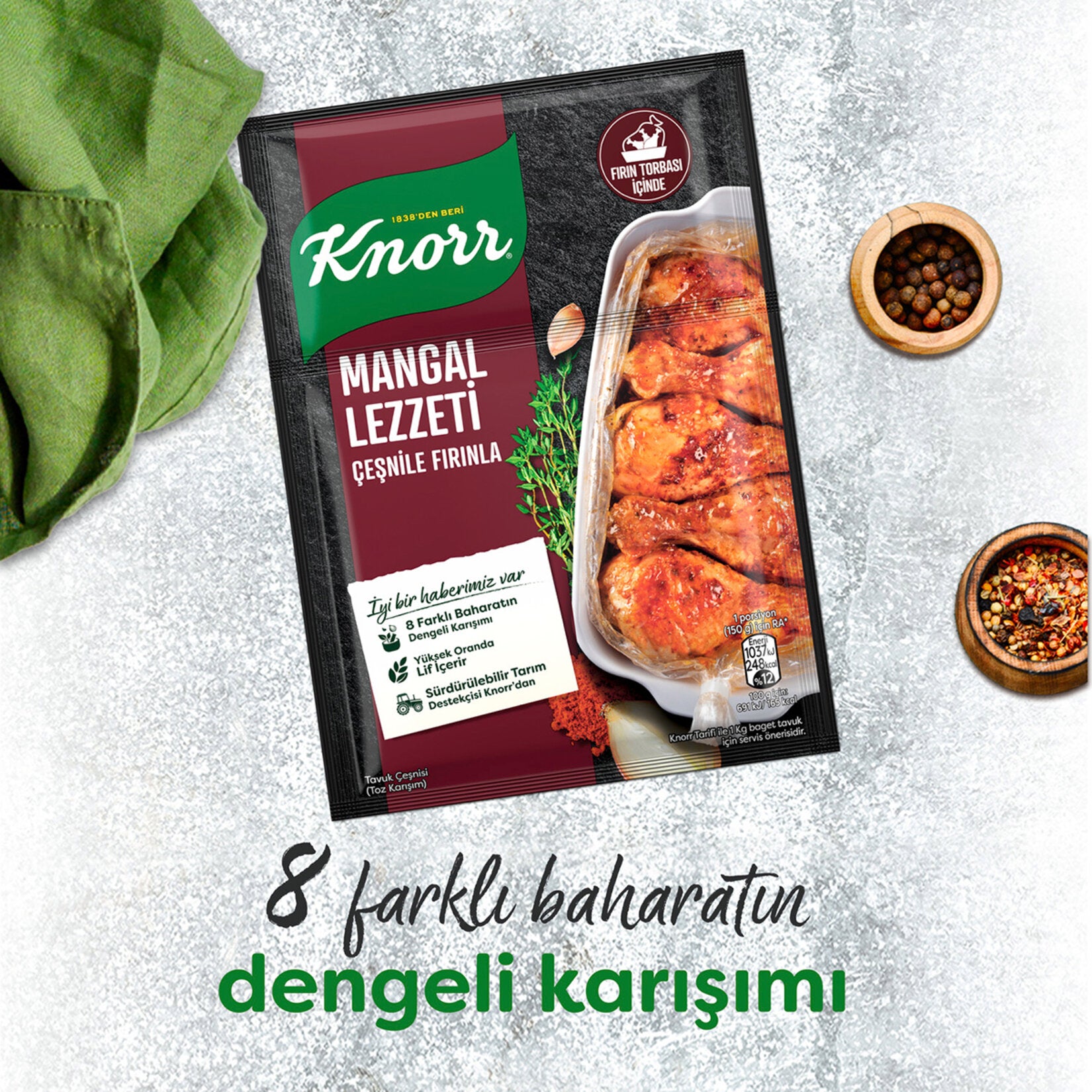 Knorr Baked Chicken Seasoning Barbecue Flavor 29 G