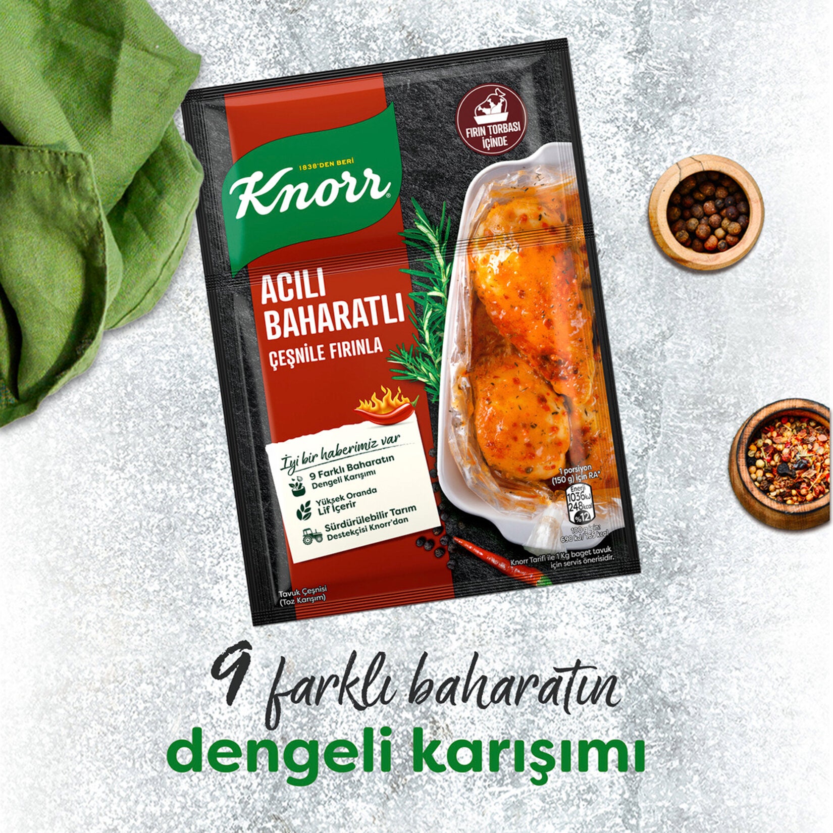 Knorr Baked Chicken Seasoning Hot and Spicy 31 G