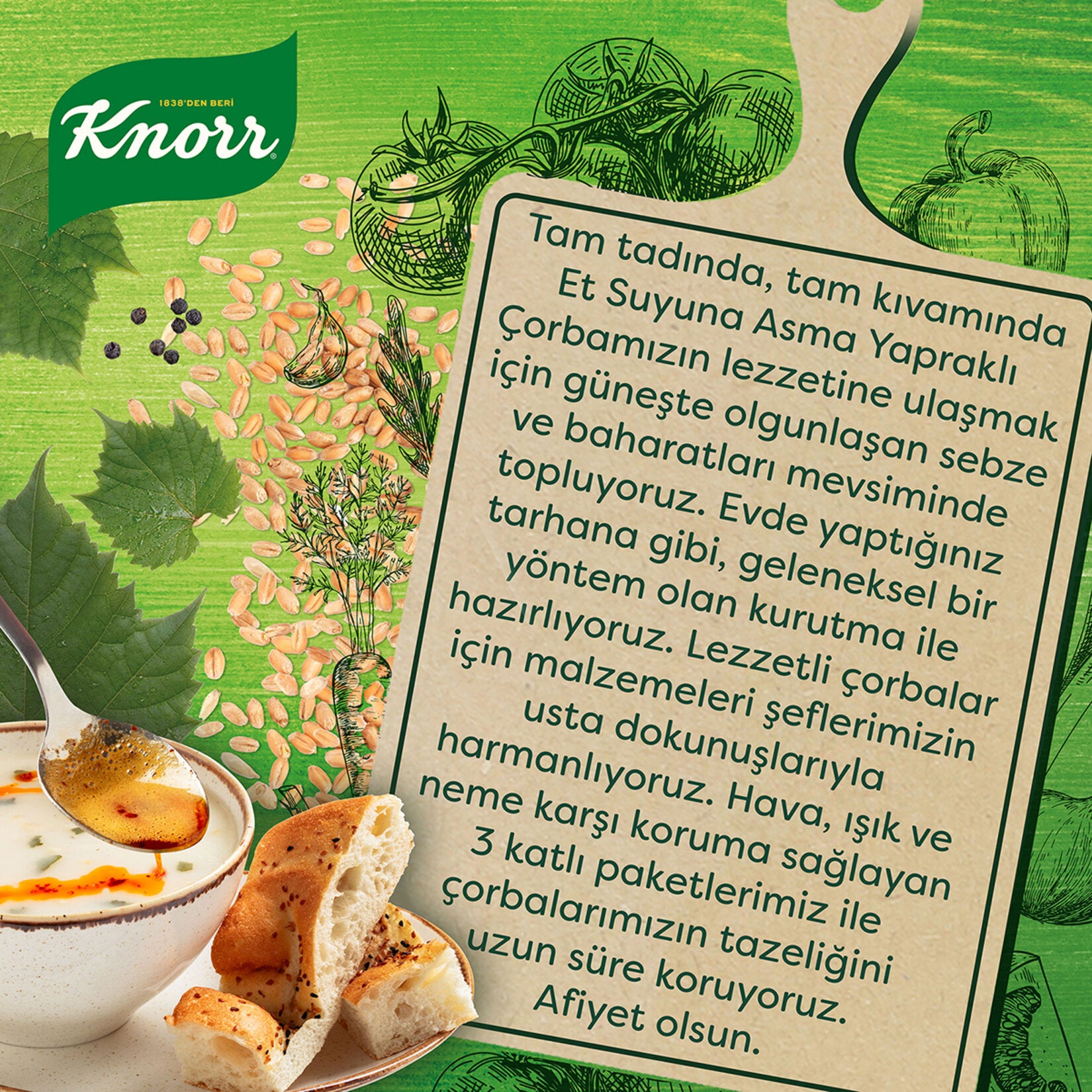 Knorr Meat Broth & Vine Leaf Soup – 75 G product packaging with text and food items on a green background
