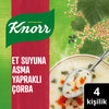 Knorr soup package with a bowl of soup and spoon on a green background
