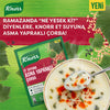 Knorr soup package with a bowl of soup and spoon on a green background