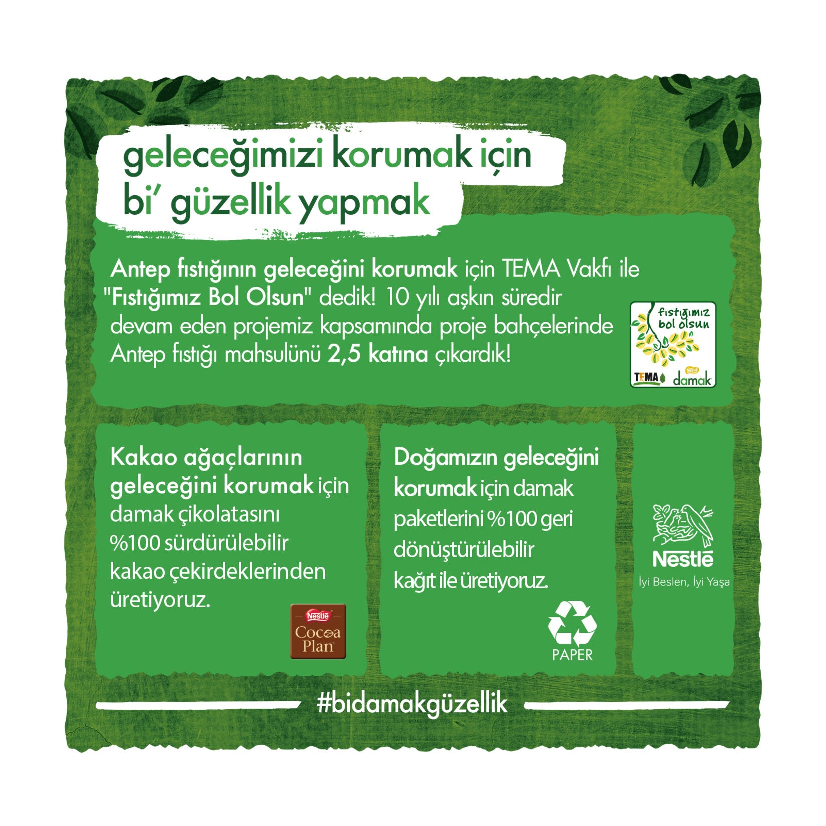 Nestle Damak İnci Pistachio White Chocolate 30G