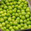 Fresh Green Plum 1 lbs- Turkish Can Erigi, Yesil Erik, Papaz Erigi