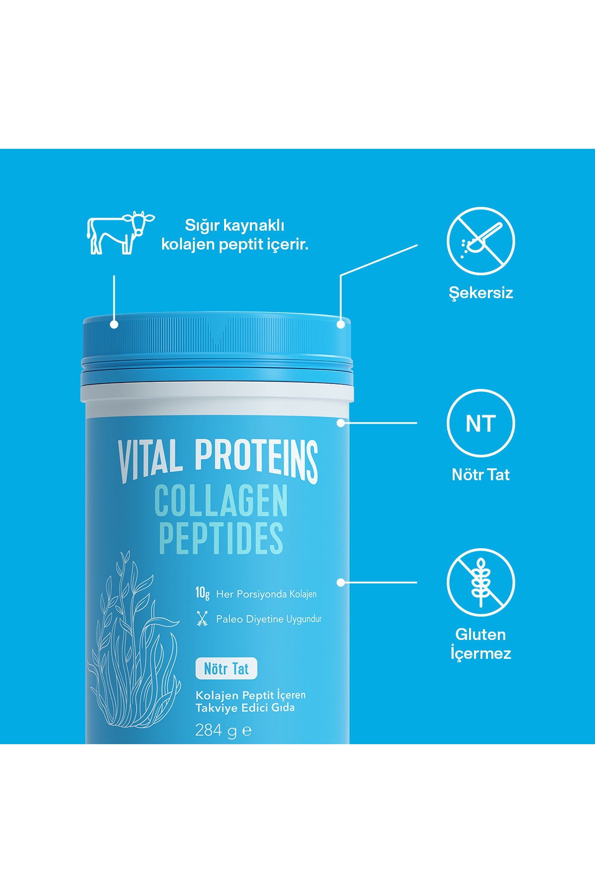 Vital Proteins Collagen Peptides Powder 284 g is a single-ingredient collagen supplement made with hydrolyzed bovine collagen peptides (Type I).