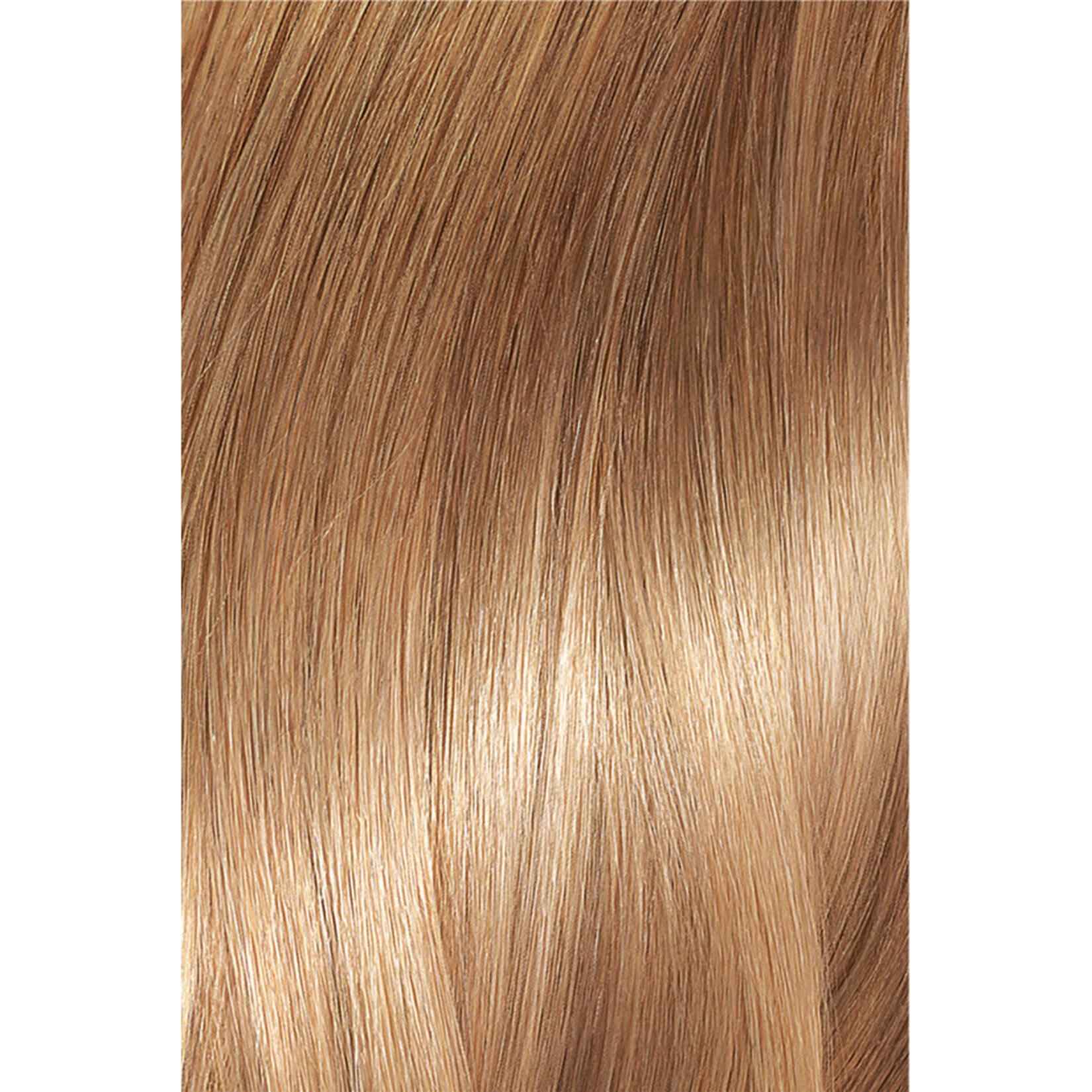 L'Oreal Excellence Creme Hair Color - 7.31 Honey Foam