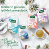Dogadan Iyi Uykular Melissa Tea, Indian Basil Tea 18 pcs