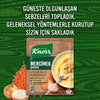 Knorr Instant Soup Lentils (Mercimek Çorbası) 76 G