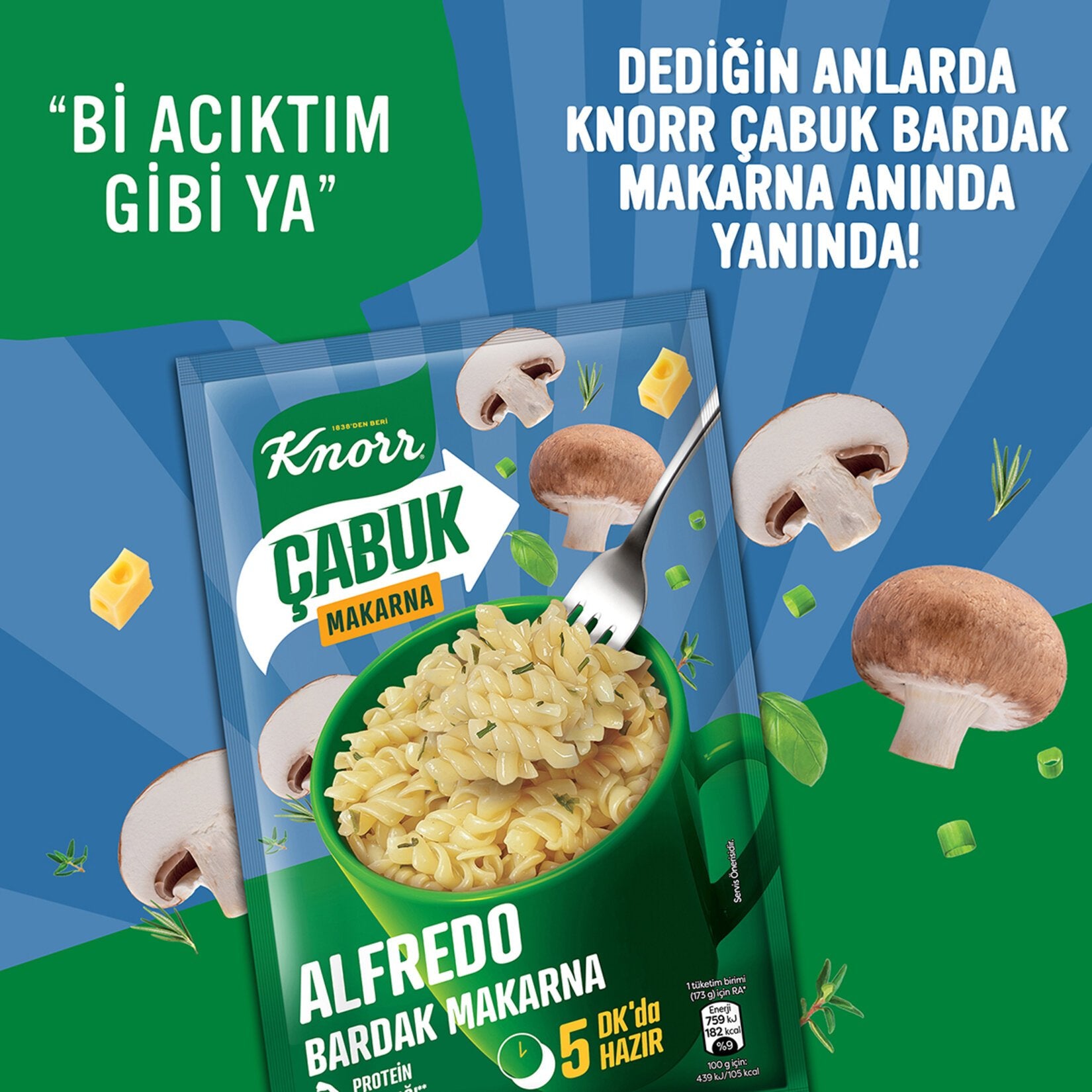 Knorr Instant Alfredo Cup Pasta (Alfredo Bardak Makarna) 1.7 oz (48 G)