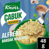 Knorr Instant Alfredo Cup Pasta (Alfredo Bardak Makarna) 1.7 oz (48 G)