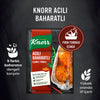 Knorr Baked Chicken Seasoning Hot and Spicy 31 G
