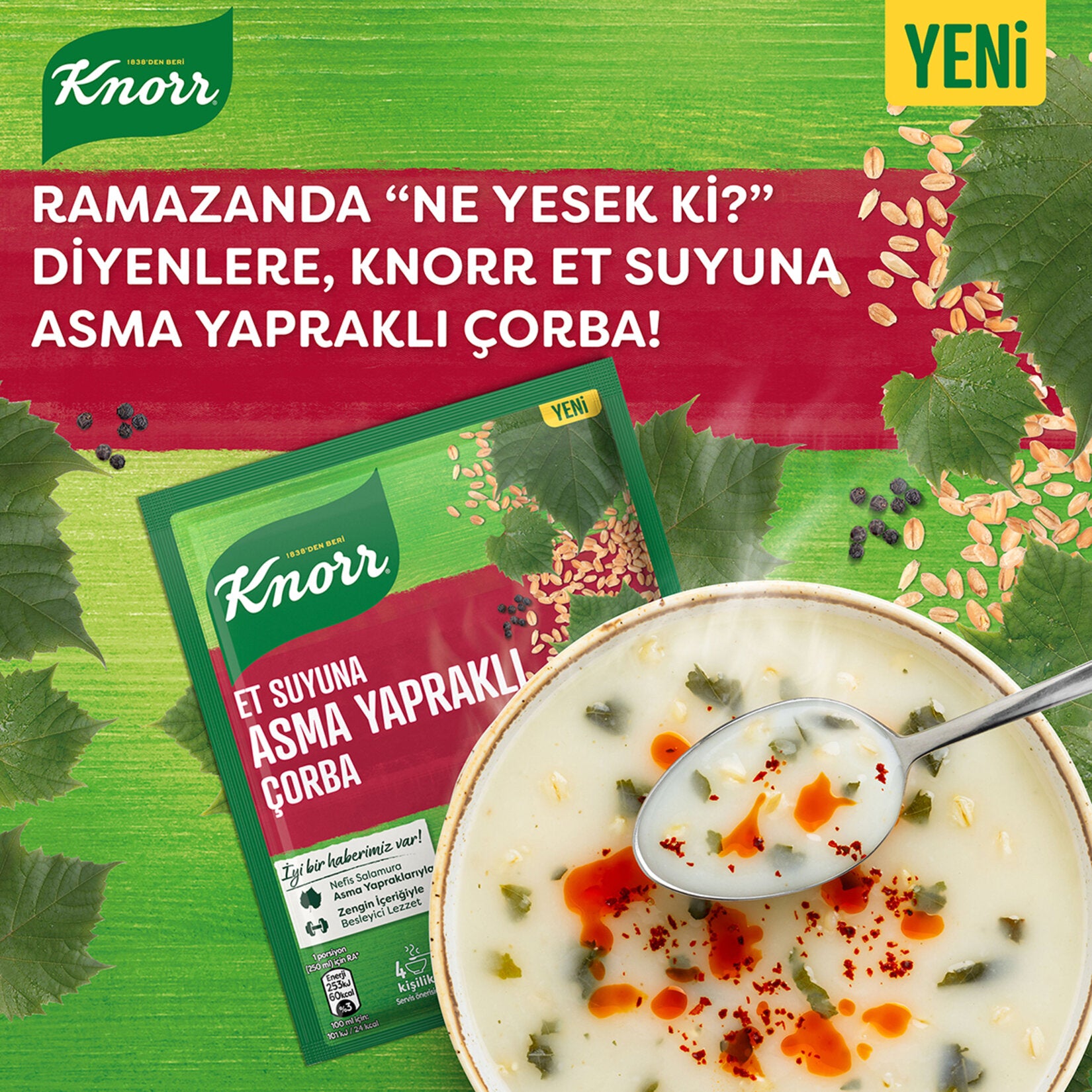 Knorr soup package with a bowl of soup on a green background