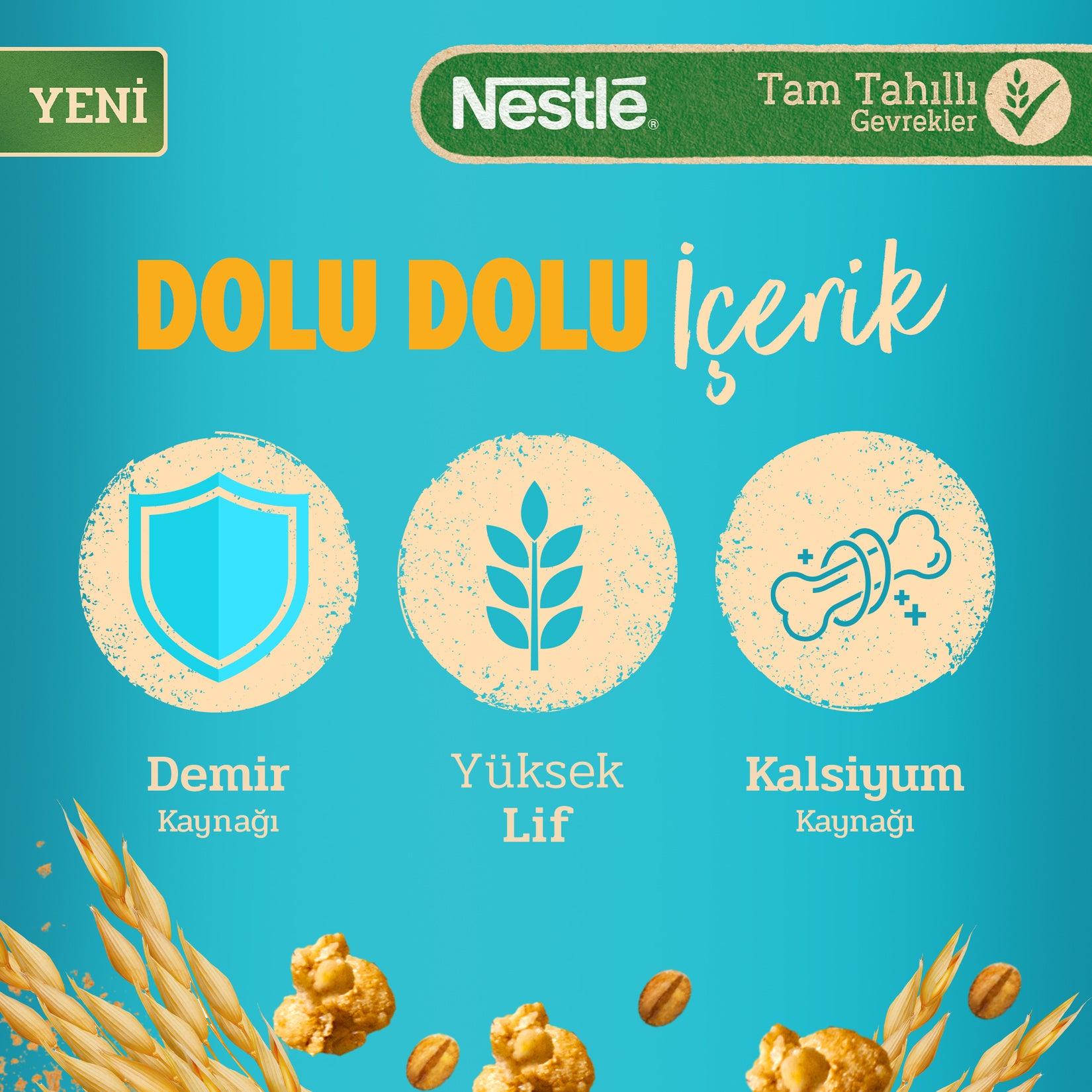 Nestle Nesfit Granola Oat & Honey (Ballı Granola) 300 G