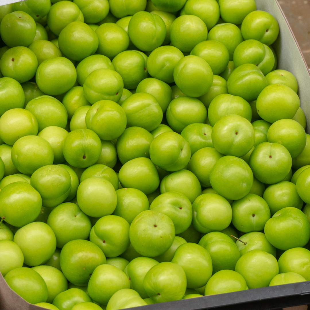 Fresh Green Plum 1 lbs- Turkish Can Erigi, Yesil Erik, Papaz Erigi