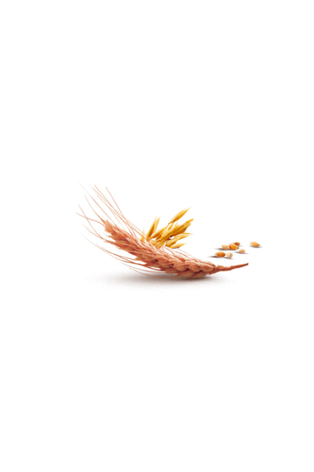 Filiz Whole Wheat Spaghetti Pasta Stick brings the wholesome taste of Türkiye’s finest durum wheat to your kitchen.