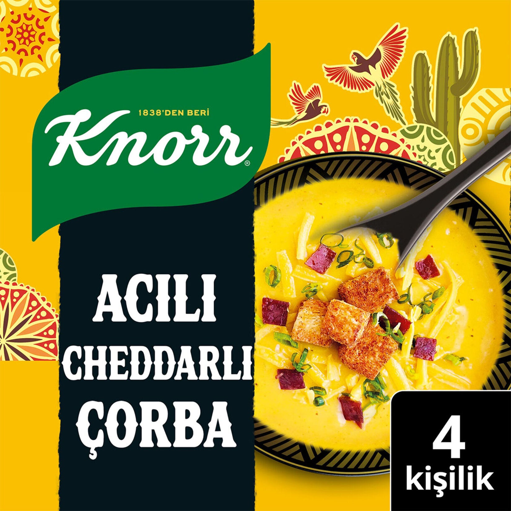 Knorr Acili Cheddarli Soup brings together creamy cheddar-style cheeses and a bold spicy kick in a practical powdered mix.