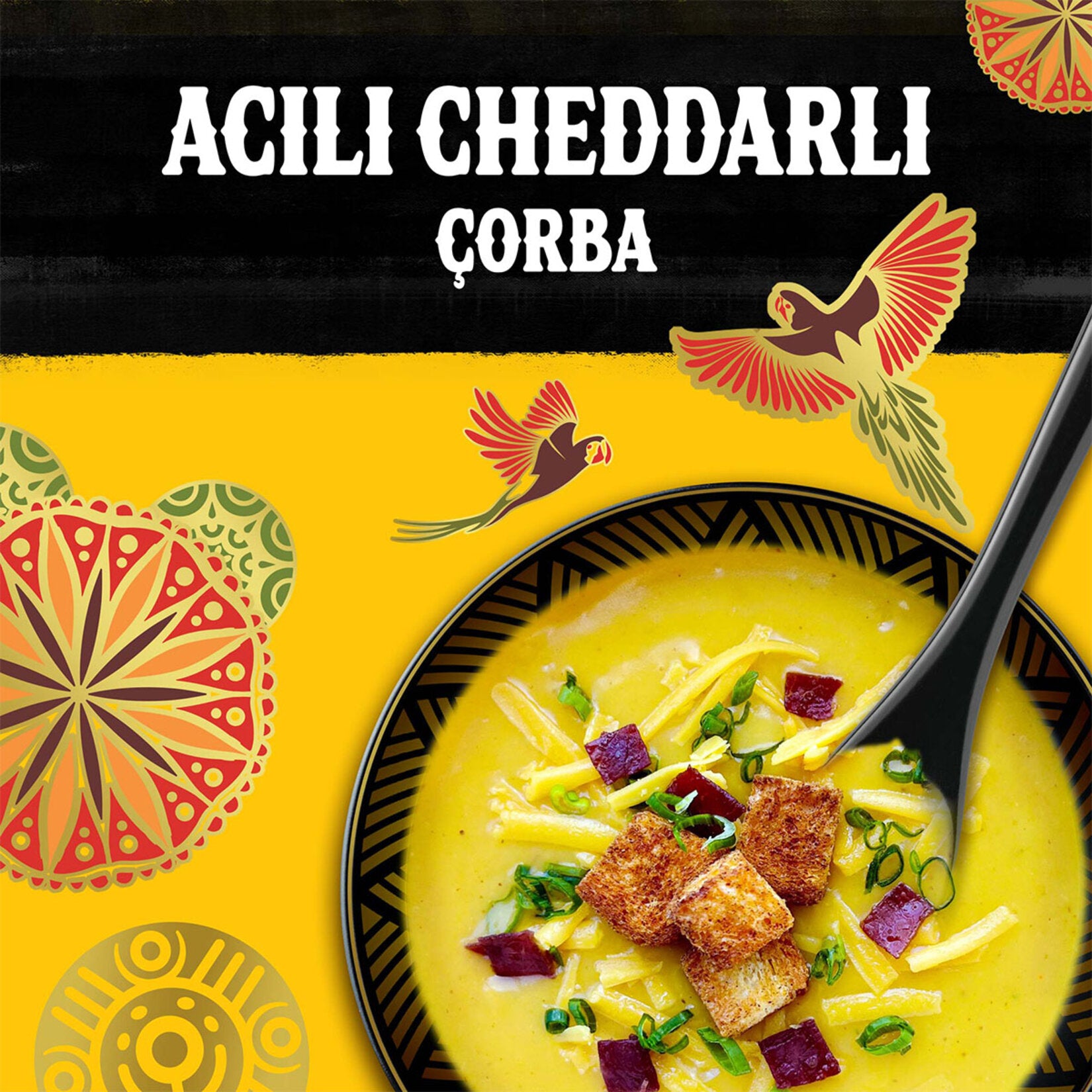 Knorr Acili Cheddarli Soup brings together creamy cheddar-style cheeses and a bold spicy kick in a practical powdered mix.