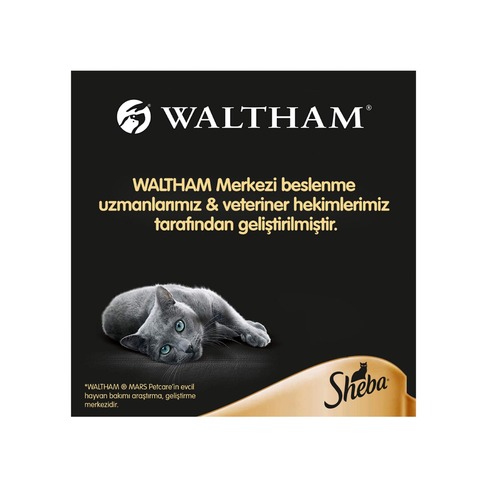 Sheba Salmon Wet Cat Food Pouch 85 g is a convenient single-serve meal made with salmon to provide a flavorful and satisfying option for adult cats.