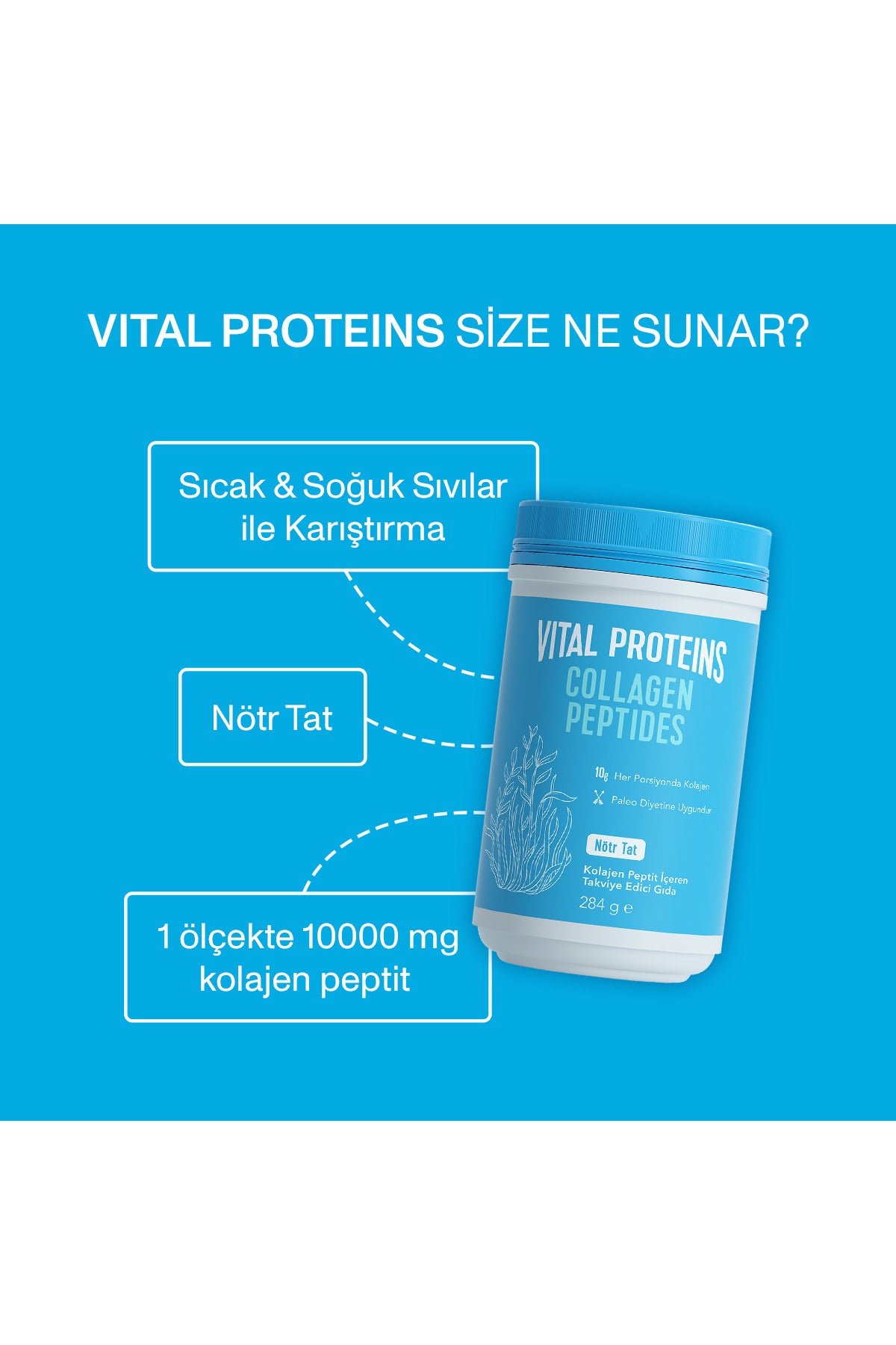 Vital Proteins Collagen Peptides Powder 284 g is a single-ingredient collagen supplement made with hydrolyzed bovine collagen peptides (Type I).