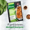 Knorr Meat/ Chicken Seasoning with Thyme Basil and Sesame 29 G